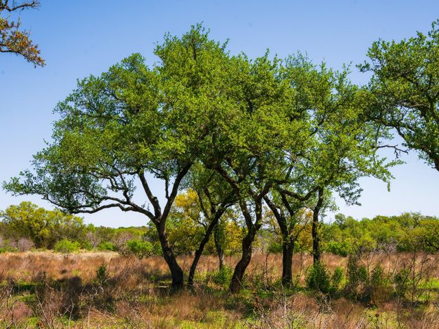 000 Serenity Springs RNCH, Johnson City, TX 78636