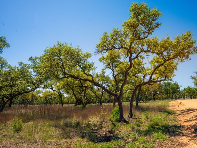 000 Serenity Springs RNCH, Johnson City, TX 78636