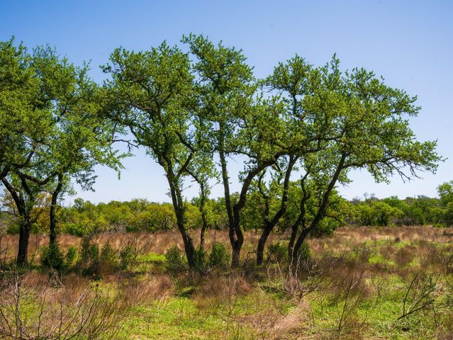 000 Serenity Springs RNCH, Johnson City, TX 78636