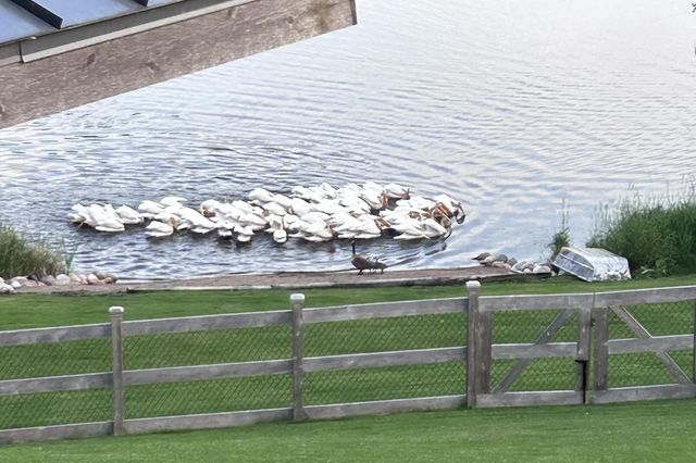 E9588 MULROY ROAD, New London, WI 54961