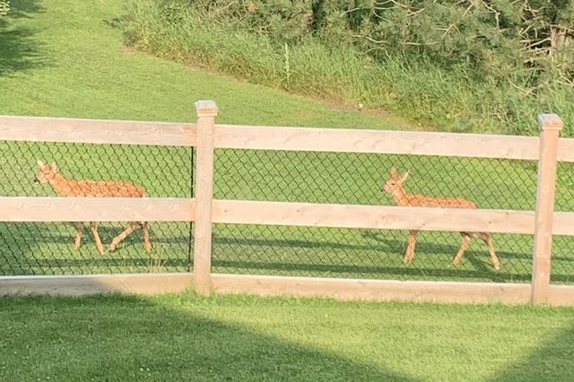 E9588 MULROY ROAD, New London, WI 54961