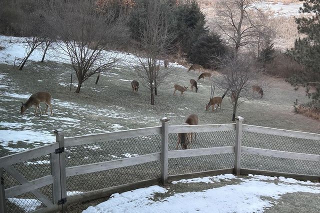 E9588 MULROY ROAD, New London, WI 54961