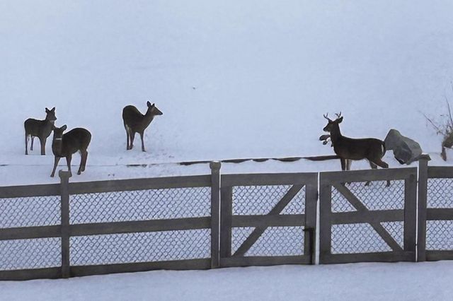 E9588 MULROY ROAD, New London, WI 54961