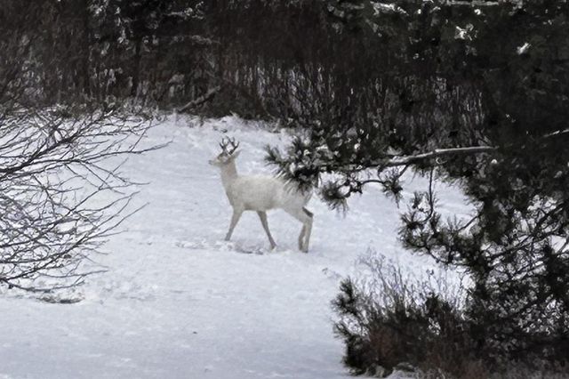 E9588 MULROY ROAD, New London, WI 54961