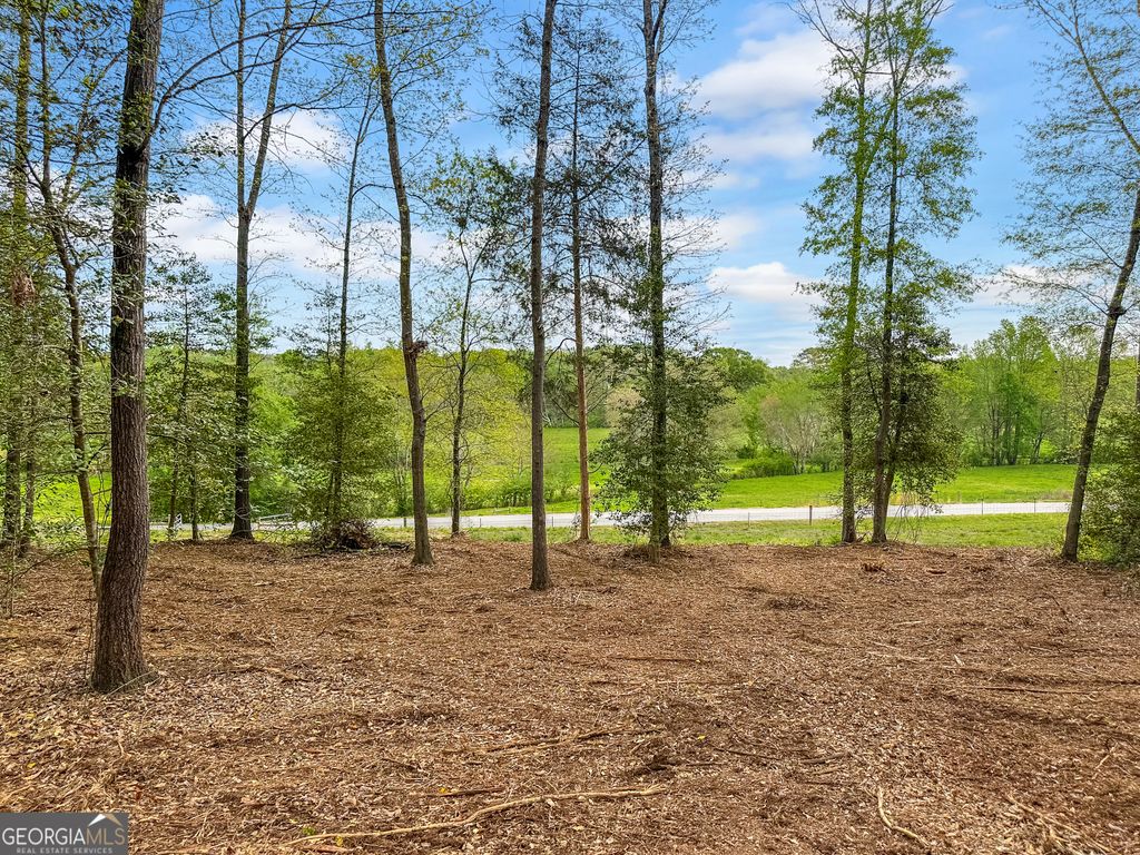 101 Broad River Road LOT 7, Eastanollee, GA 30538 — exterior