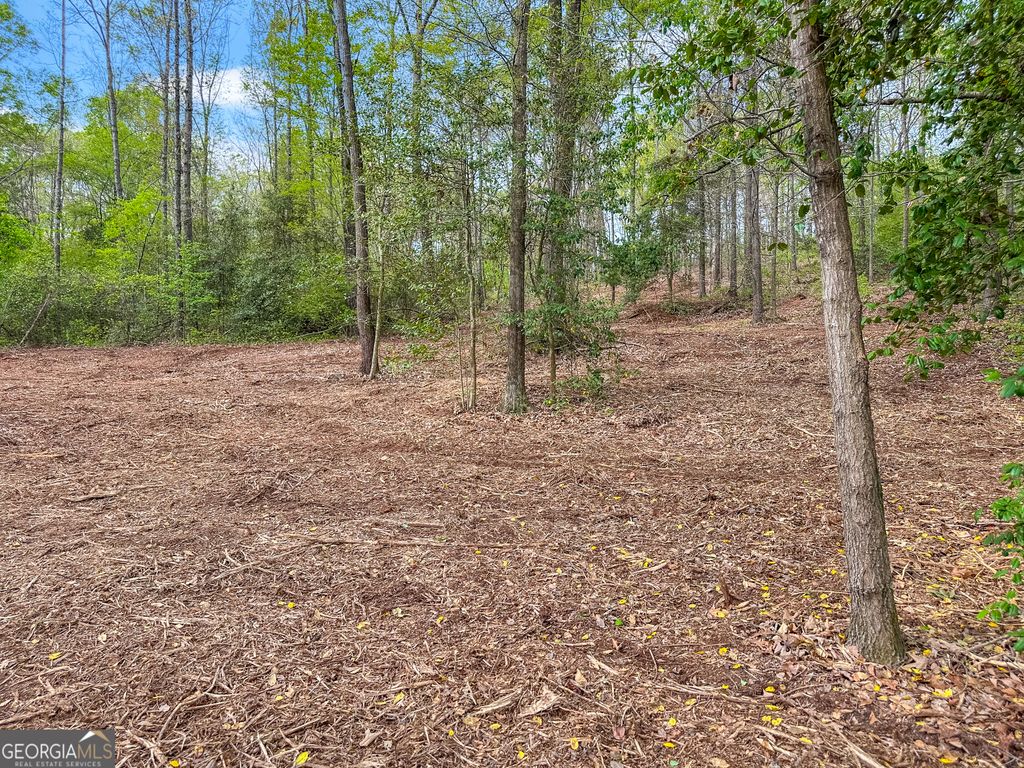 101 Broad River Road LOT 7, Eastanollee, GA 30538 — photo 3