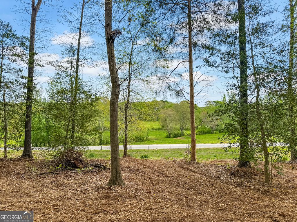 101 Broad River Road LOT 7, Eastanollee, GA 30538 — photo 4