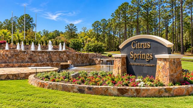 10868 N ACADEMY DRIVE, Citrus Springs, FL 34434