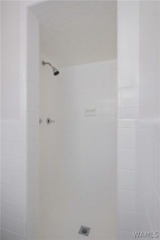58 Bellview, Tuscaloosa, AL 35405