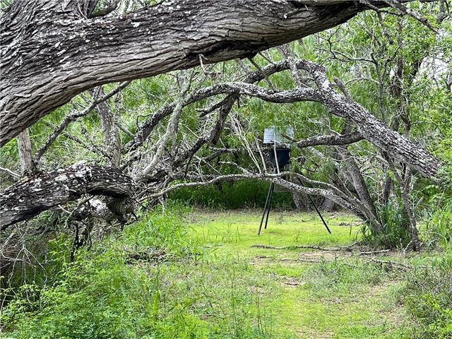 107 Lago Dr, Sandia, TX 78383