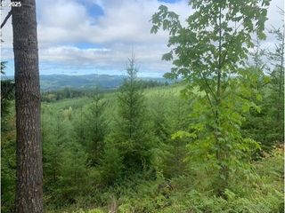 John Lee Rd, Buxton, OR 97109