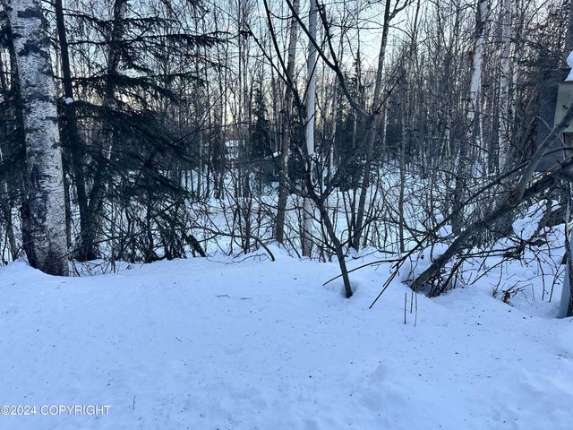9404 S Starlight Lane, Wasilla, AK 99623