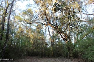 Frank Snell Road, Moss Point, MS 39562