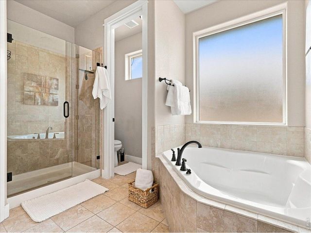 1539 Lake Vista Way, Severance, CO 80550