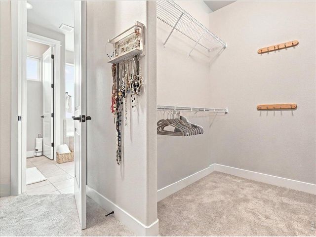 1539 Lake Vista Way, Severance, CO 80550