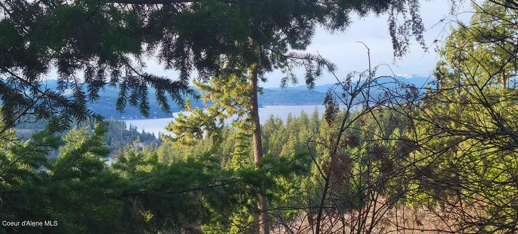 NKA Lisa Rd, Harrison, ID 83833 photo 34