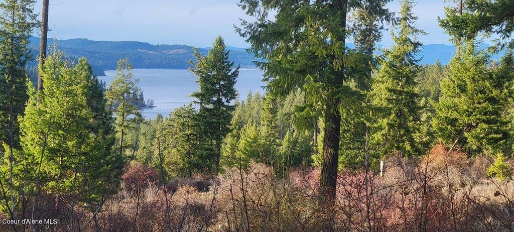 NKA Lisa Rd, Harrison, ID 83833 photo 38