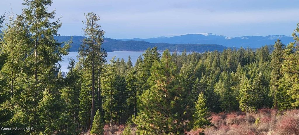 NKA Lisa Rd, Harrison, ID 83833 photo 39