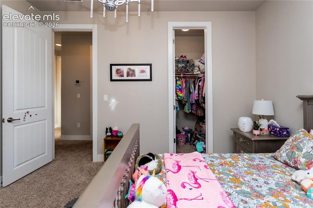 11560 Spectacular Bid Circle, Colorado Springs, CO 80921