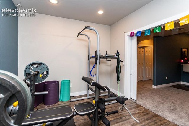 11560 Spectacular Bid Circle, Colorado Springs, CO 80921
