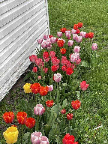 2424 S D AVE, Ogden, UT 84401