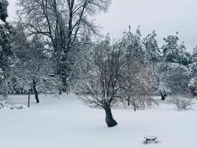 5651 N Seeley Road, Cedar Creek Twp, MI 49663