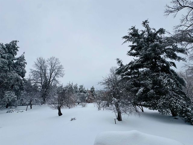 5651 N Seeley Road, Cedar Creek Twp, MI 49663