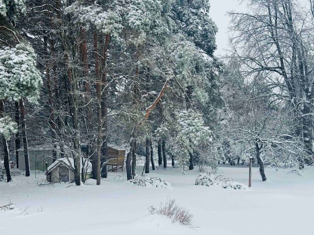 5651 N Seeley Road, Cedar Creek Twp, MI 49663