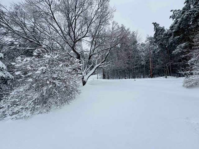 5651 N Seeley Road, Cedar Creek Twp, MI 49663