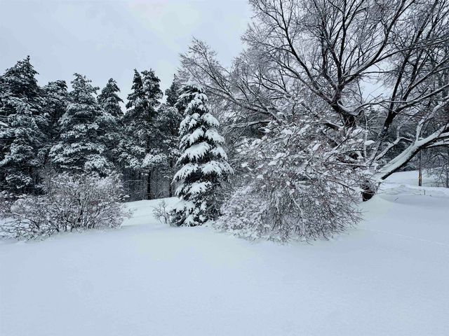 5651 N Seeley Road, Cedar Creek Twp, MI 49663