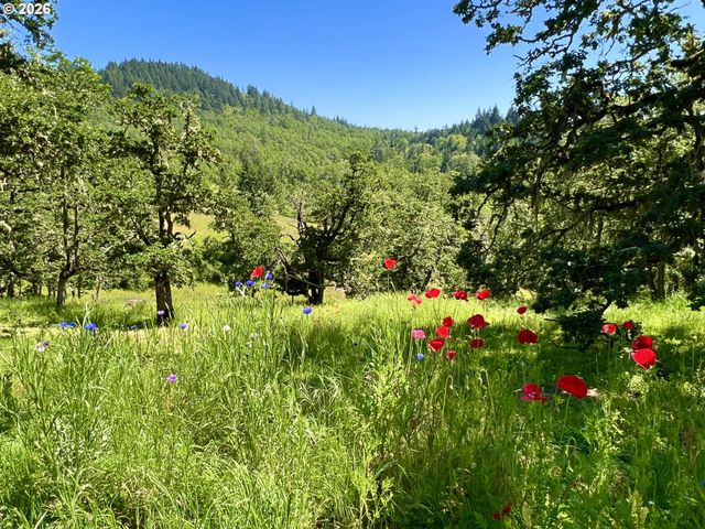 28544 CROW Rd, Eugene, OR 97402
