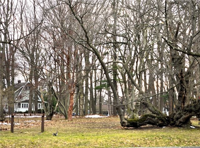 163 Park Road, Irondequoit, NY 14622