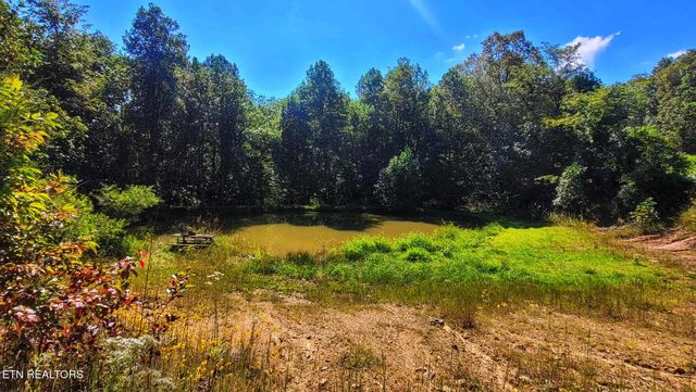 1794 Holloway Ridge Rd, Spring City, TN 37381