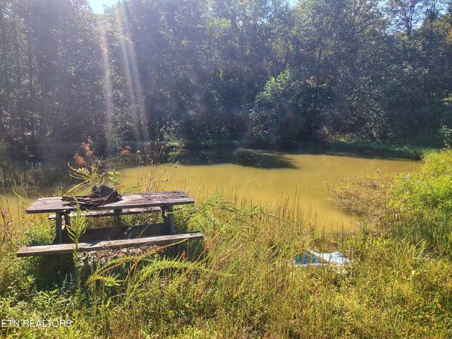 1794 Holloway Ridge Rd, Spring City, TN 37381