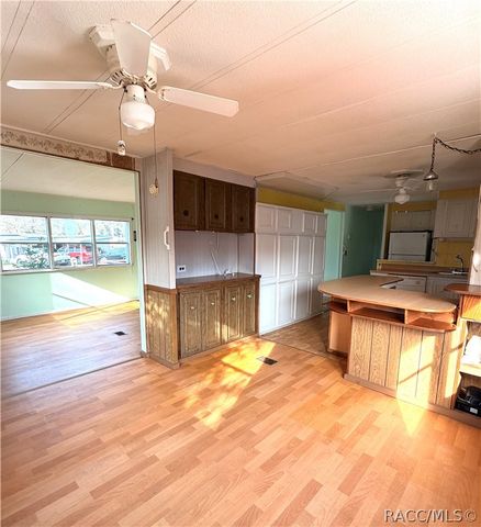 10315 E Pike Drive, Inverness, FL 34450