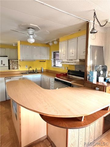 10315 E Pike Drive, Inverness, FL 34450