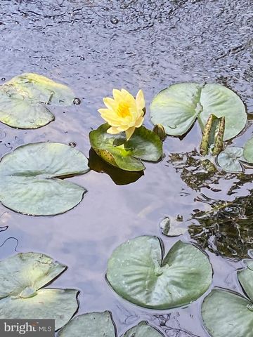 301 WASHINGTON ST S, Easton, MD 21601