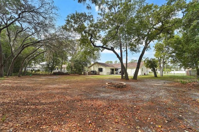 1250 FINLAND DRIVE, Spring Hill, FL 34609