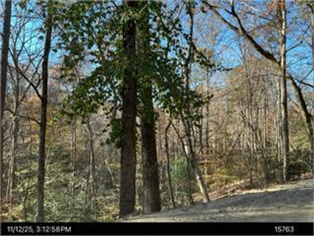 292 Nemos Drive, Ellijay, GA 30540