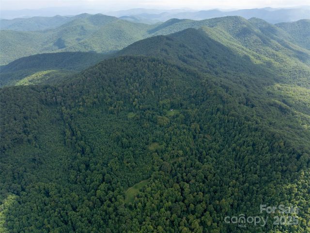 99999 Billy Cove Road, Candler, NC 28715