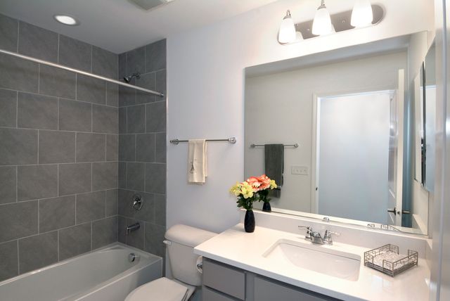 309 Timberleaf Circle, Roselle, IL 60172