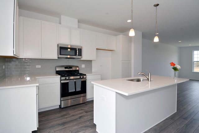 309 Timberleaf Circle, Roselle, IL 60172