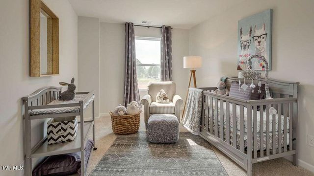 281 Chimney View Loop, Blountville, TN 37617