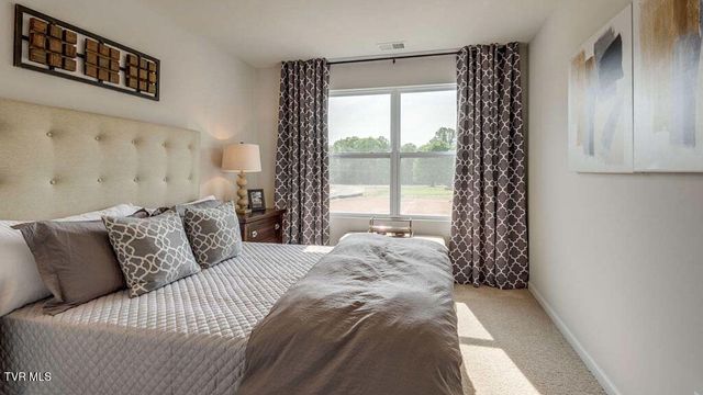 281 Chimney View Loop, Blountville, TN 37617