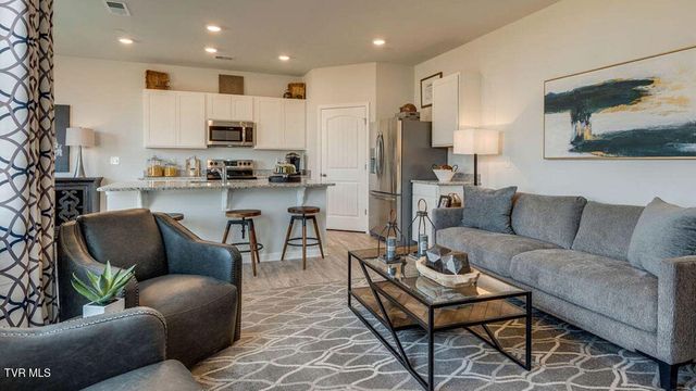 281 Chimney View Loop, Blountville, TN 37617