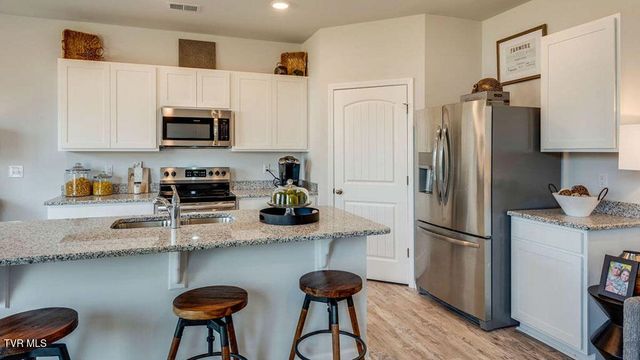 281 Chimney View Loop, Blountville, TN 37617