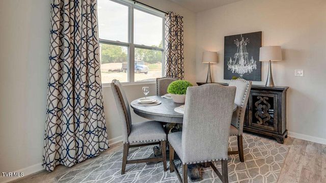 281 Chimney View Loop, Blountville, TN 37617