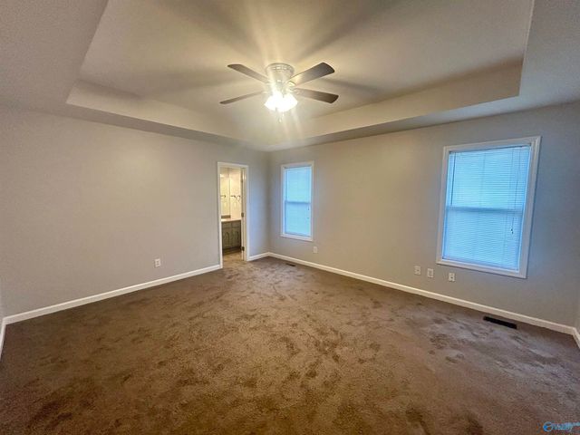 12594 Hutchins Circle, Madison, AL 35756