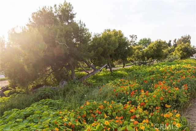 1600 Ardmore Avenue 107, Hermosa Beach, CA 90254