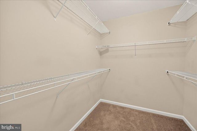 6316 POSEY ST, Frederick, MD 21703